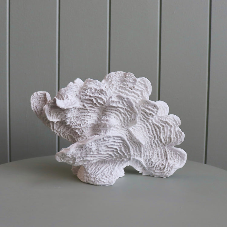 Foliose Coral Sculpture