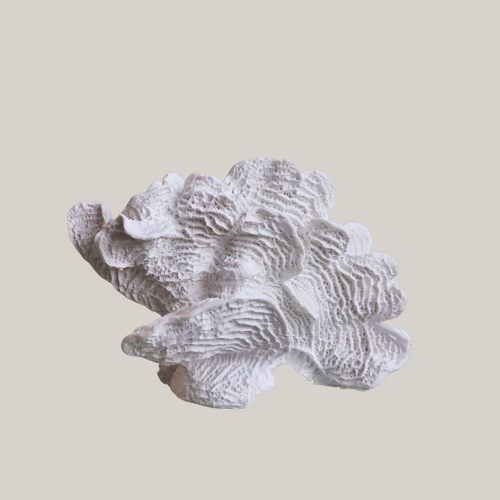 Foliose Coral Sculpture